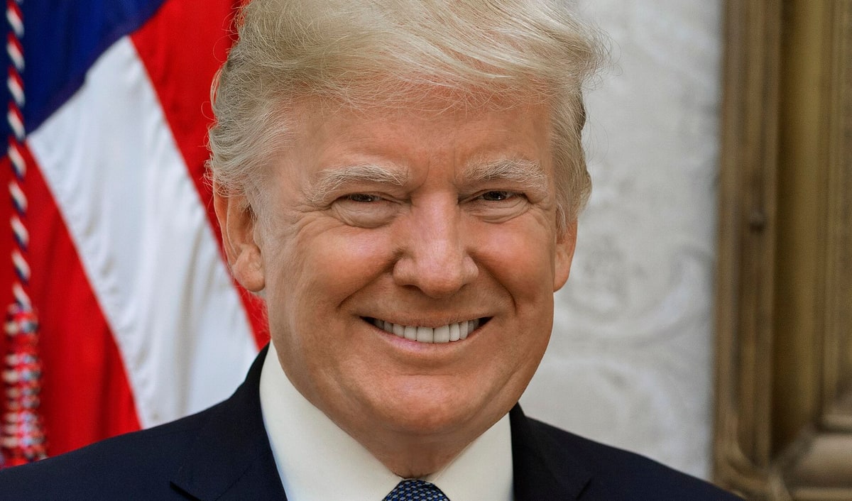 Official 2017 White House portrait of President Donald Trump, smiling in a navy suit and blue tie in front of an American flag.