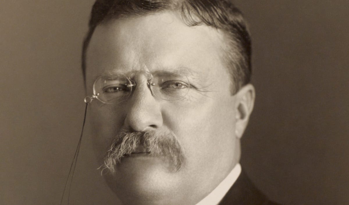 Theodore Roosevelt in a photographic portrait, wearing pince-nez glasses and a dark coat.