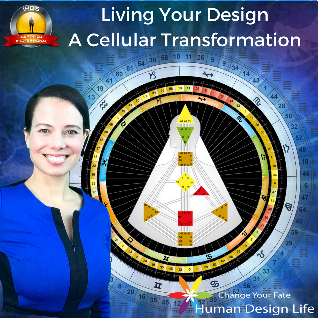Take the first step in your Human Design education