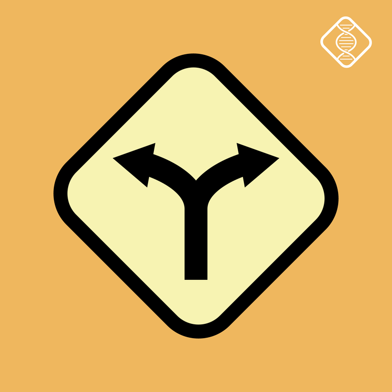 The Witness Generation — The Forking of the Paths: Jovian Archive cover art
